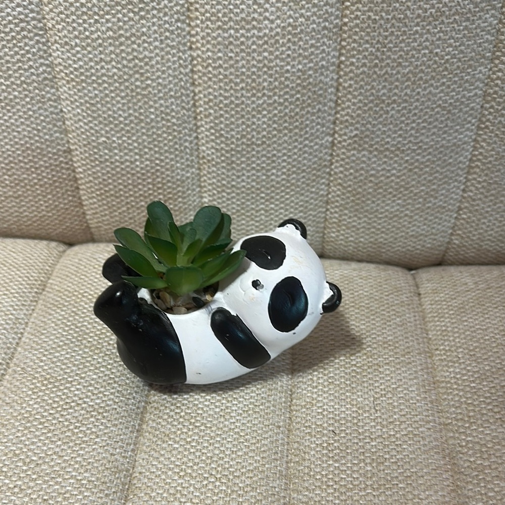Panda Succulent Planter - Black and White